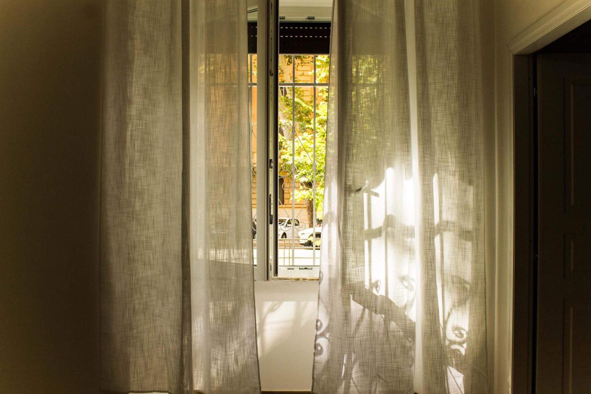 Daffodil In San Pietro Bed & Breakfast